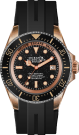 SHARKMASTER BRONZE 44mm (automatic)